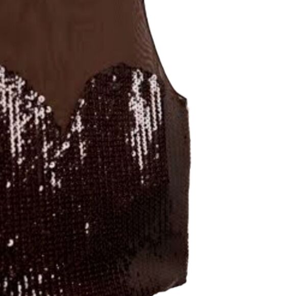 Zara Sequin Tulle Dark Brown Top Sheer Back US  M BNWT - Picture 3 of 5